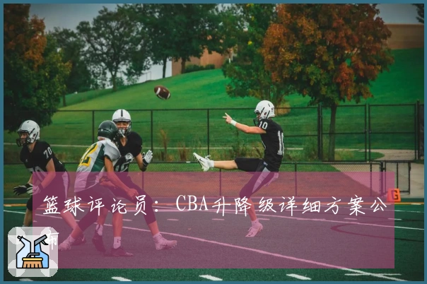 篮球评论员：CBA升降级详细方案公布